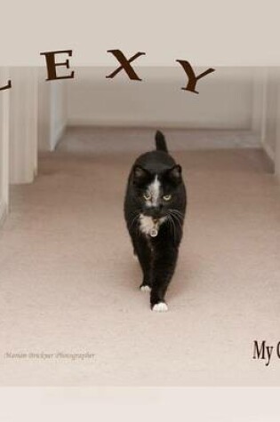 Cover of Lexy, My Cat