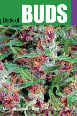 Cover of The Big Book Of Buds Volume 4