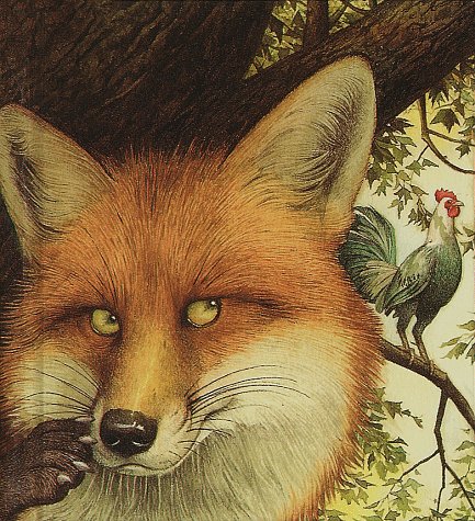 Book cover for The Fox and the Rooster