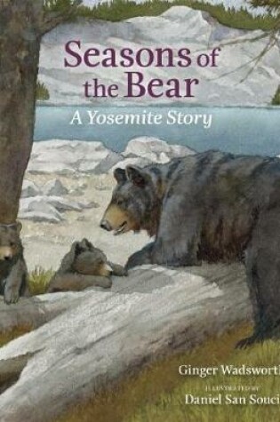 Cover of Seasons of the Bear