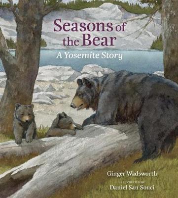 Book cover for Seasons of the Bear