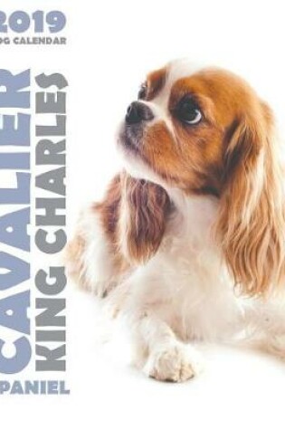 Cover of Cavalier King Charles Spaniel 2019 Dog Calendar