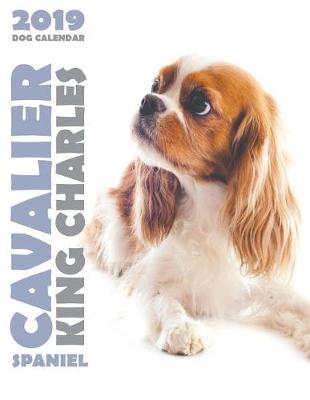 Book cover for Cavalier King Charles Spaniel 2019 Dog Calendar