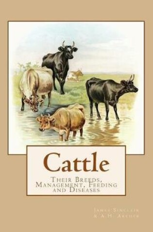 Cover of Cattle