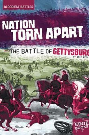 Cover of A Nation Torn Apart