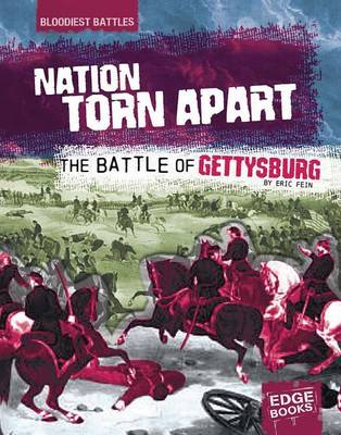 Book cover for A Nation Torn Apart