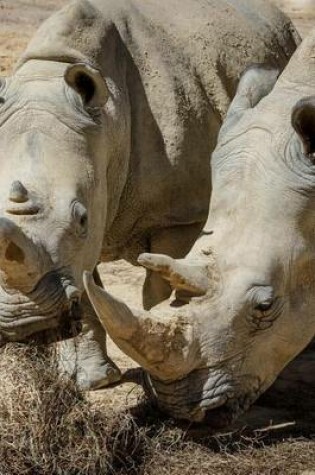 Cover of A Horny Couple of Rhinoceros White Rhino Journal