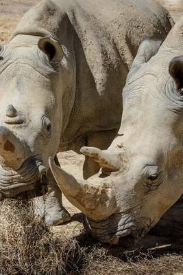 Book cover for A Horny Couple of Rhinoceros White Rhino Journal