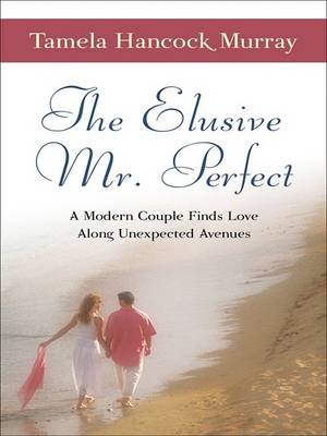 Book cover for The Elusive Mr. Perfect