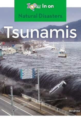 Cover of Tsunamis