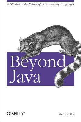 Book cover for Beyond Java