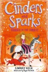 Book cover for Fairies in the Forest