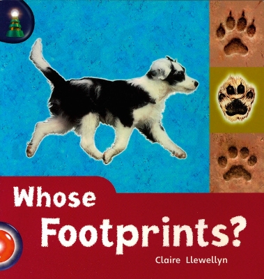 Book cover for Lighthouse Reception Red: Whose Footprints?