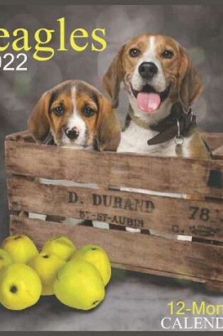 Cover of Calendar 2022 Beagles 12-Month