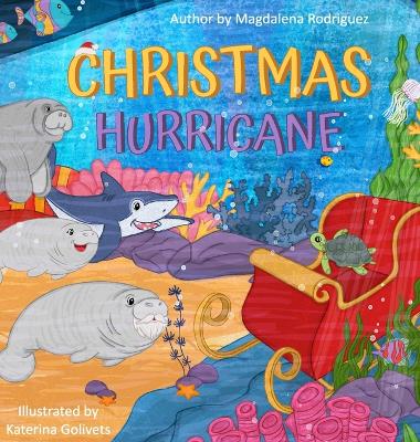 Book cover for Christmas Hurricane