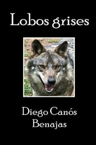 Cover of Lobos Grises