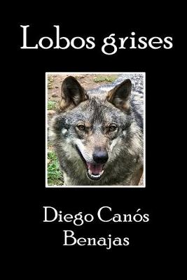 Book cover for Lobos Grises