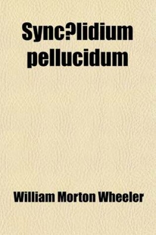 Cover of Sync Lidium Pellucidum; A New Marine Triclad