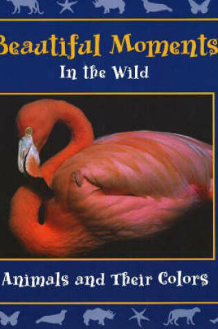 Cover of Beautiful Moments in the Wild
