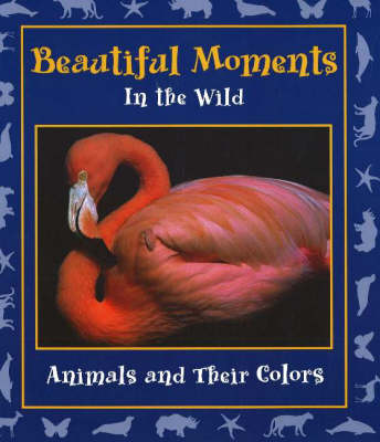 Book cover for Beautiful Moments in the Wild