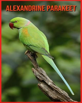 Book cover for Alexandrine Parakeet