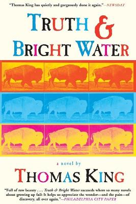Book cover for Truth and Bright Water