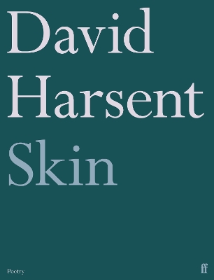 Book cover for Skin