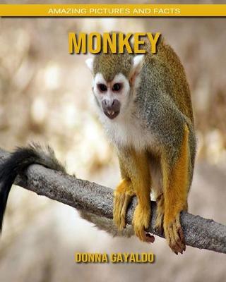 Book cover for Monkey