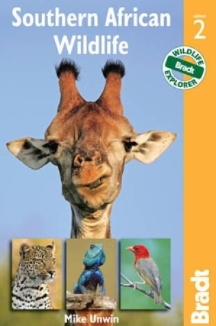 Cover of Southern African Wildlife