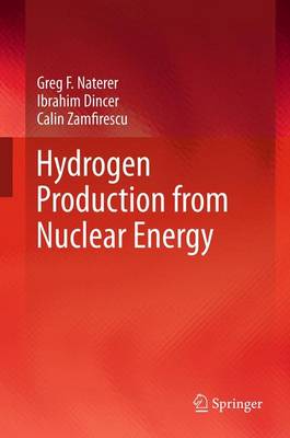 Book cover for Hydrogen Production from Nuclear Energy
