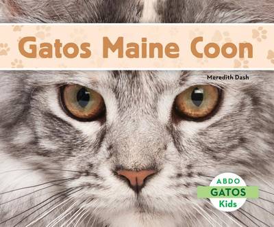 Book cover for Gatos Maine Coon (Maine Coon Cats) (Spanish Version)