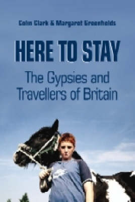 Book cover for Here to Stay