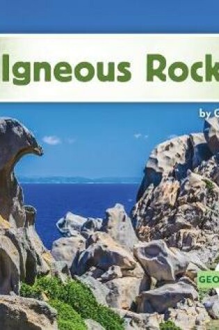 Cover of Igneous Rocks