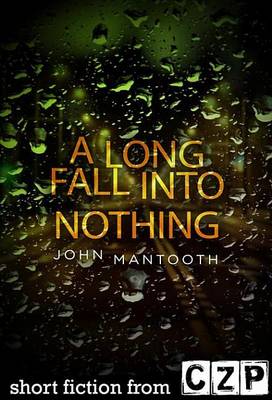 Book cover for A Long Fall Into Nothing