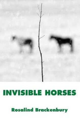 Cover of Invisible Horses