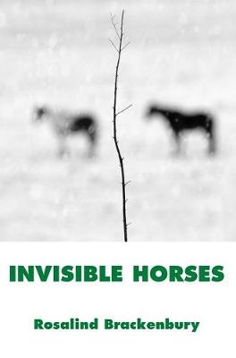 Book cover for Invisible Horses