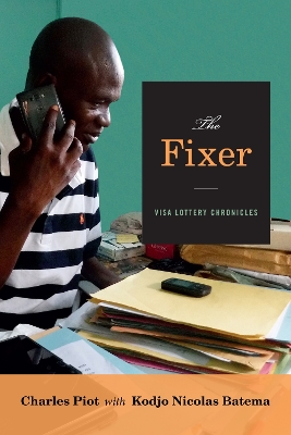 Book cover for The Fixer