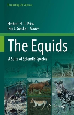 Book cover for The Equids