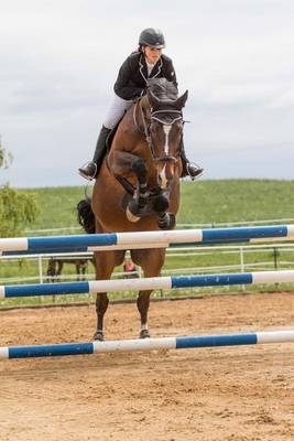 Book cover for Horse Jumping Hurdles Equestrian Sports Journal