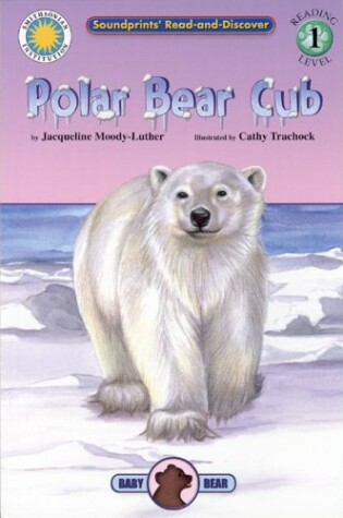 Cover of Baby Bear Adventures