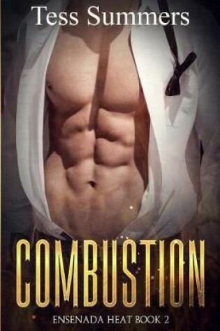 Cover of Combustion
