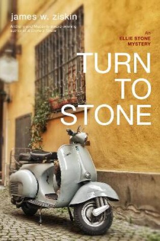 Cover of Turn to Stone