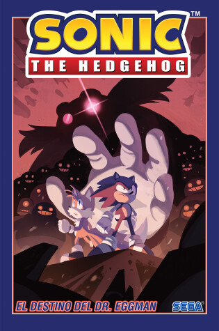 Cover of Sonic The Hedgehog, Volume 2