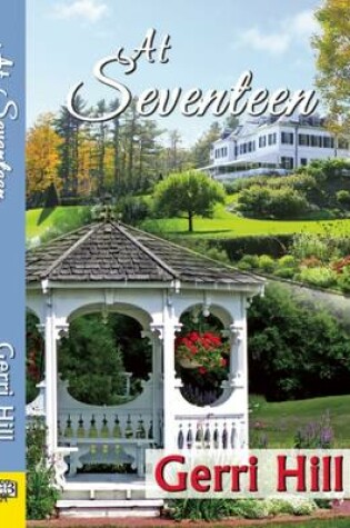 Cover of At Seventeen Hill