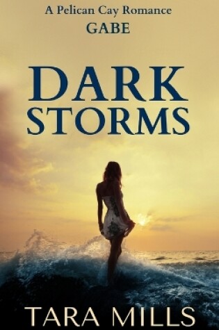 Cover of Dark Storms