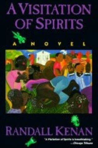 Cover of A Visitation of Spirits: a Novel