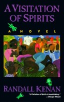 Book cover for A Visitation of Spirits: a Novel