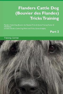 Book cover for Flanders Cattle Dog (Bouvier des Flandes) Tricks Training Flanders Cattle Dog (Bouvier des Flandes) Tricks & Games Training Tracker & Workbook. Includes