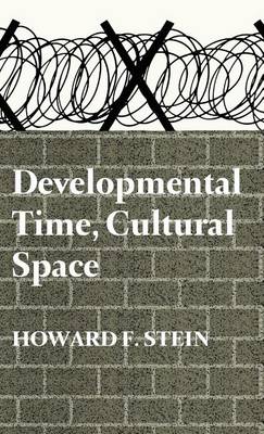 Book cover for Developmental Time, Cultural Space