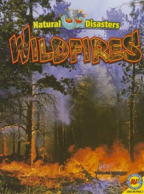 Book cover for Wildfires